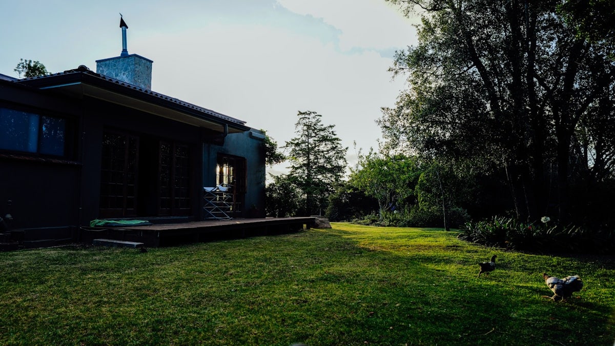 A modern house with a large green lawn and trees.